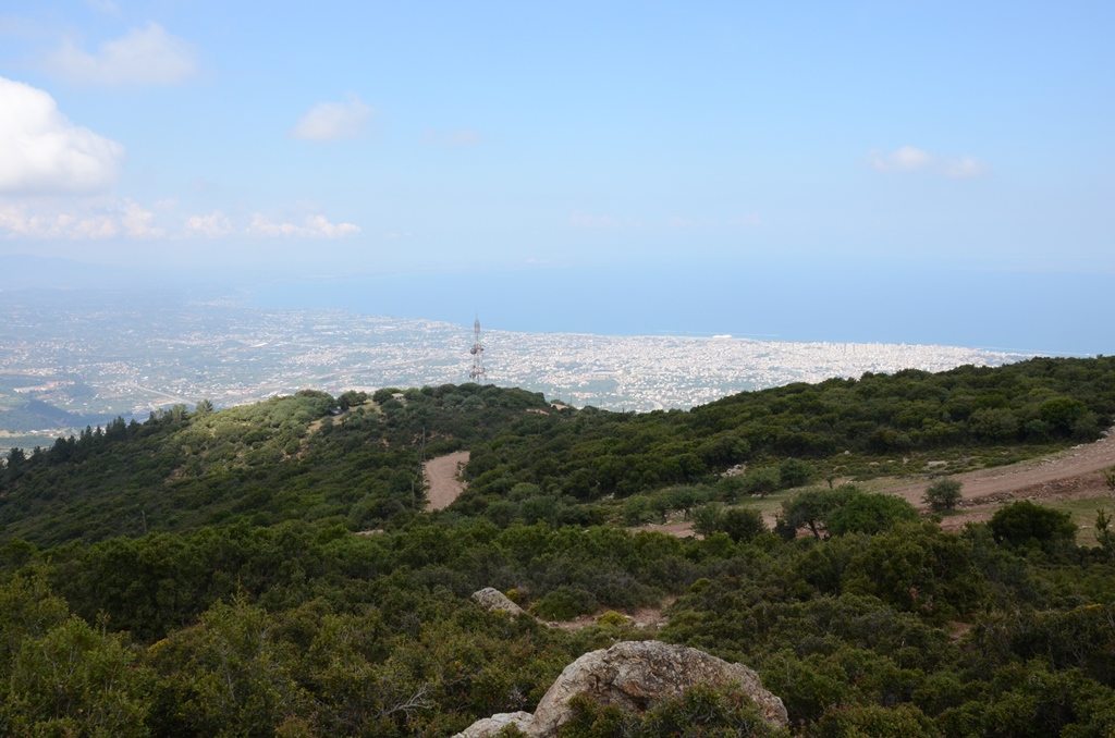 ΠΑΝΑΧΑΪΚΟ 1