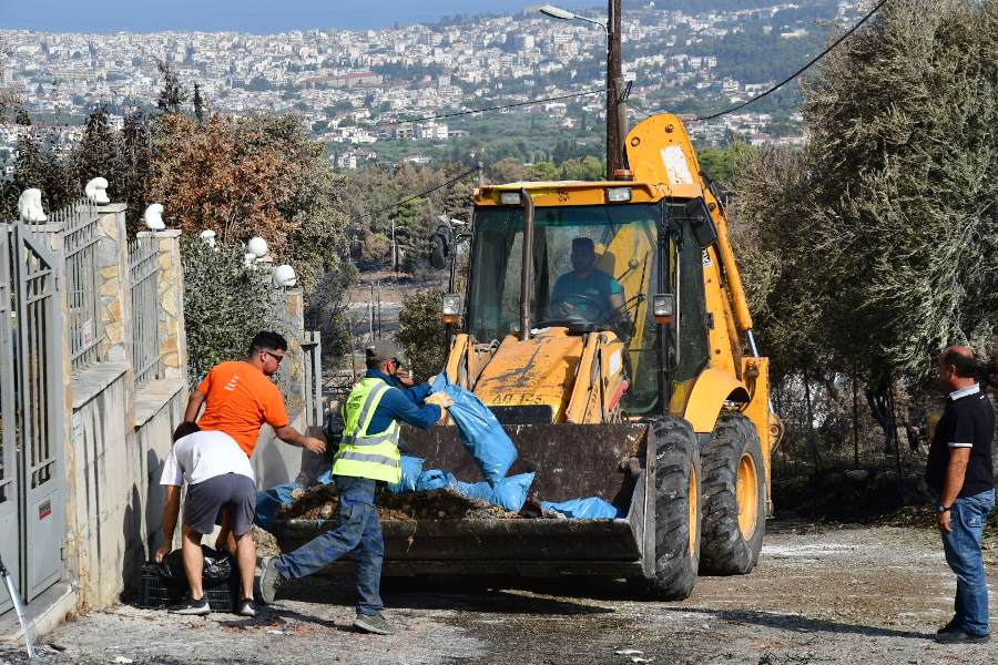 ΚΑΘΑΡΙΣΜΟΣ ΚΑΜΜΕΝΑ4