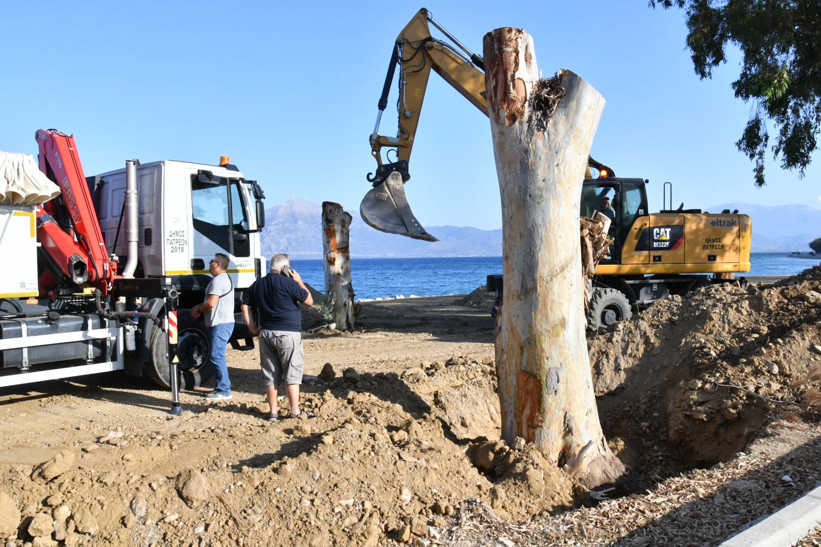 ΒΟΡΕΙΟ ΠΑΡΚΟ ΕΥΚΑΛΥΠΤΟΙ 1