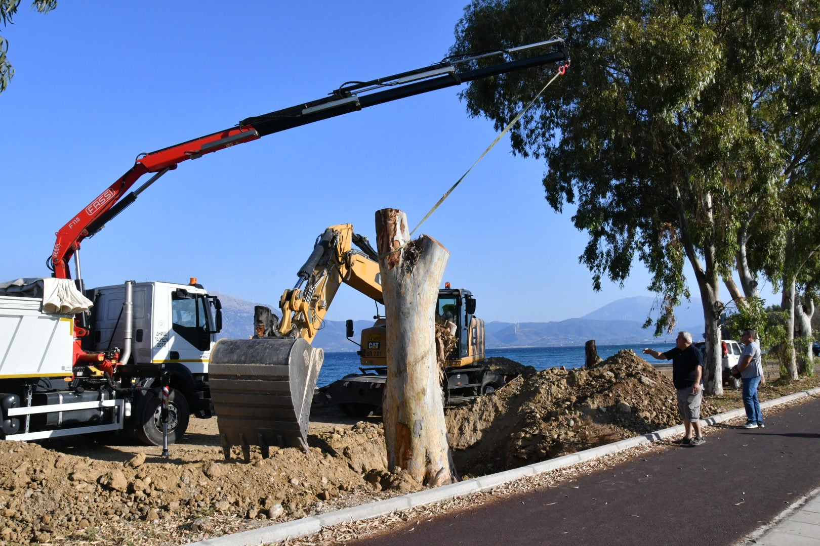 ΒΟΡΕΙΟ ΠΑΡΚΟ ΕΥΚΑΛΥΠΤΟΙ