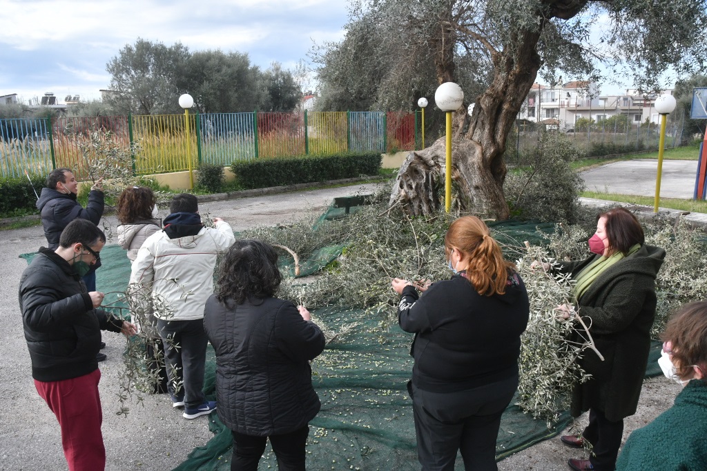 ΜΑΖΕΜΑ ΕΛΙΩΝ ΚΔΑΠ ΑΜΠΕΤ ΧΑΣΜΑΝ1