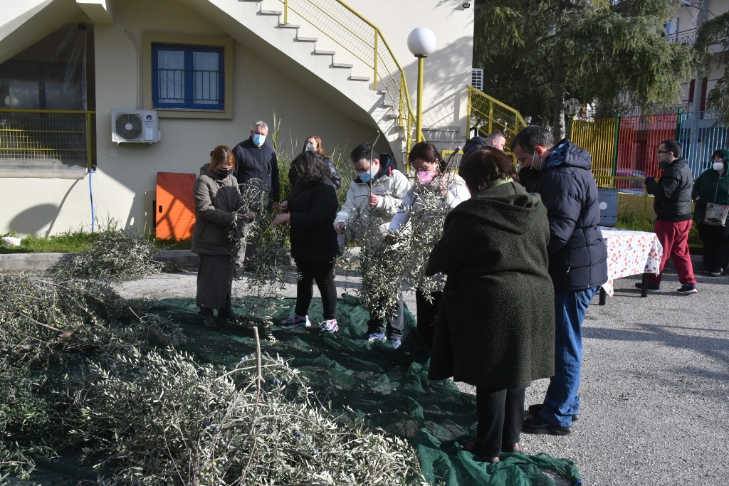 ΜΑΖΕΜΑ ΕΛΙΩΝ ΚΔΑΠ ΑΜΠΕΤ ΧΑΣΜΑΝ6