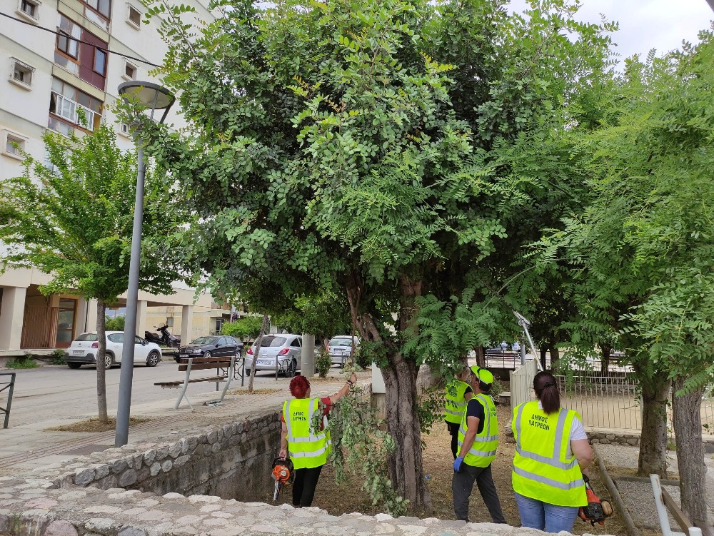 ΧΟΡΤΑ