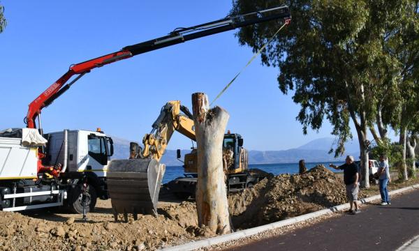 ΒΟΡΕΙΟ ΠΑΡΚΟ ΕΥΚΑΛΥΠΤΟΙ