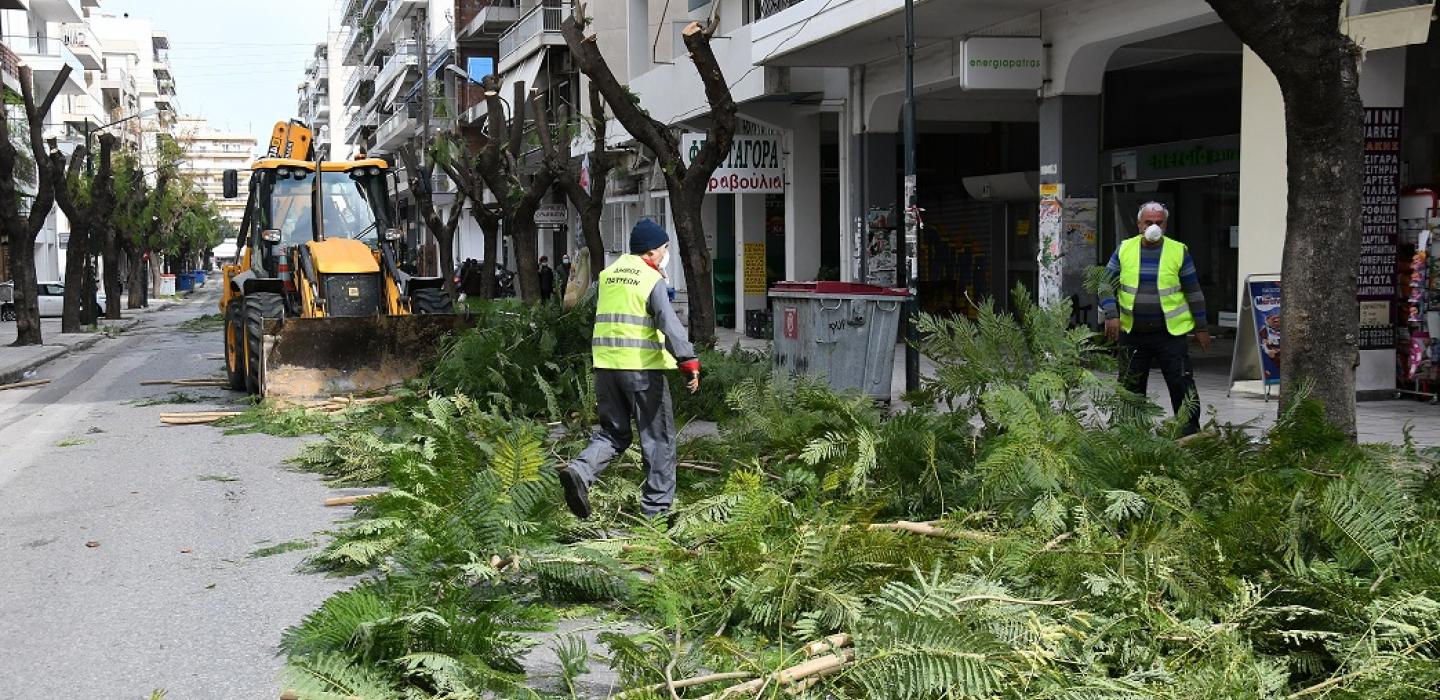 Απομάκρυνση Κλαδιών